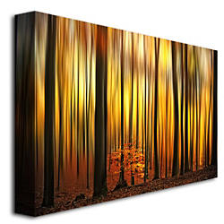 Decorative&#x20;Accents