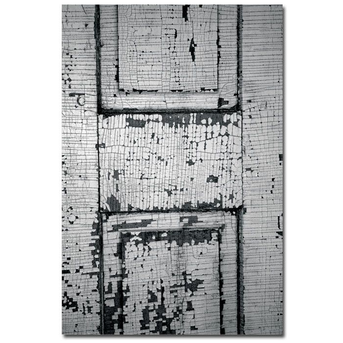 Trademark Art 16x24 inches "Chippy Paint" by Patty Tuggle