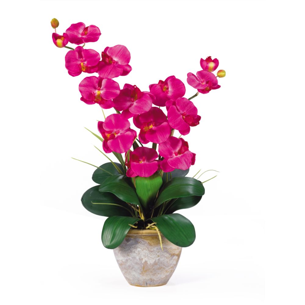 Nearly Natural Double Stem Phalaenopsis Silk Orchid Flower Arrangement at Sears.com