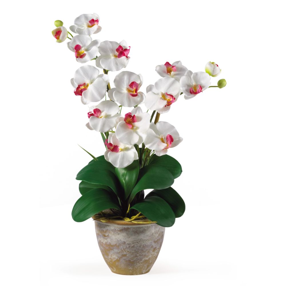 Nearly Natural Double Stem Phalaenopsis Silk Orchid Flower Arrangement at Sears.com