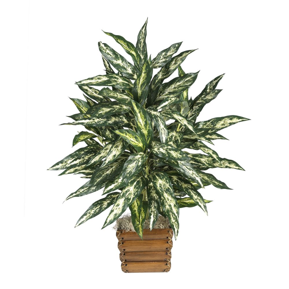 Nearly Natural Chinese Evergreen Silk Plant