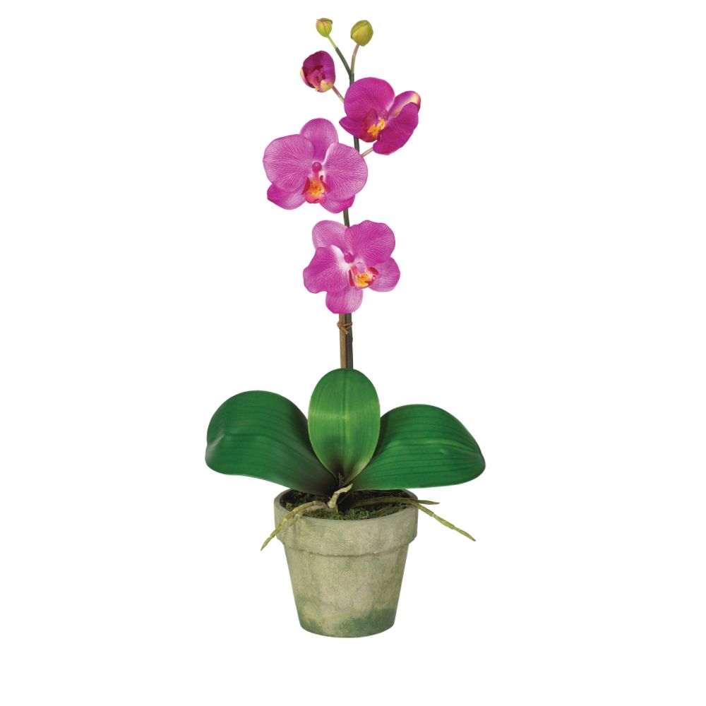 Nearly Natural Potted Phalaenopsis Silk Orchid Flower Arrangement