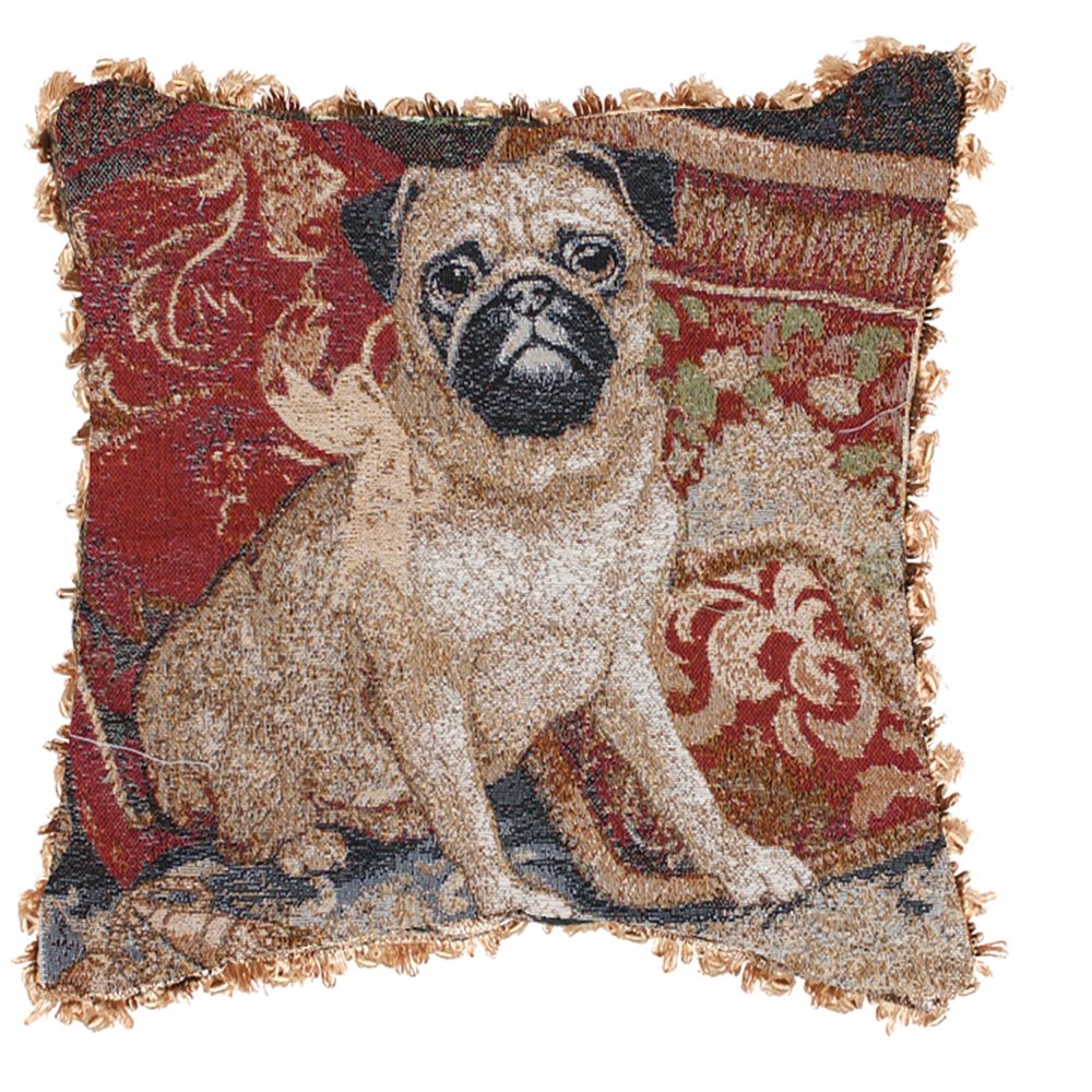 Pampered Pug