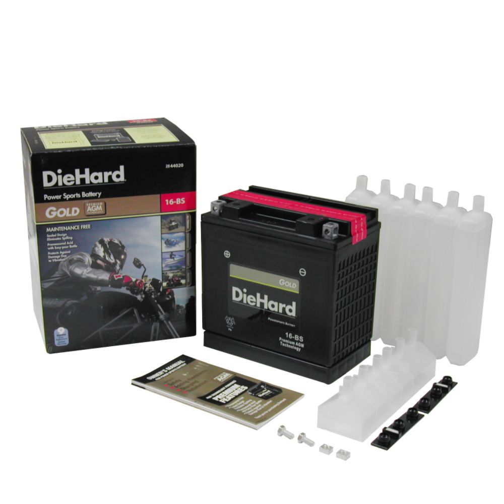 DieHard&nbsp; Gold PowerSport Battery 16-BS (with exchange)