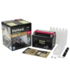 Gold PowerSport Battery 9-BS (with exchange)