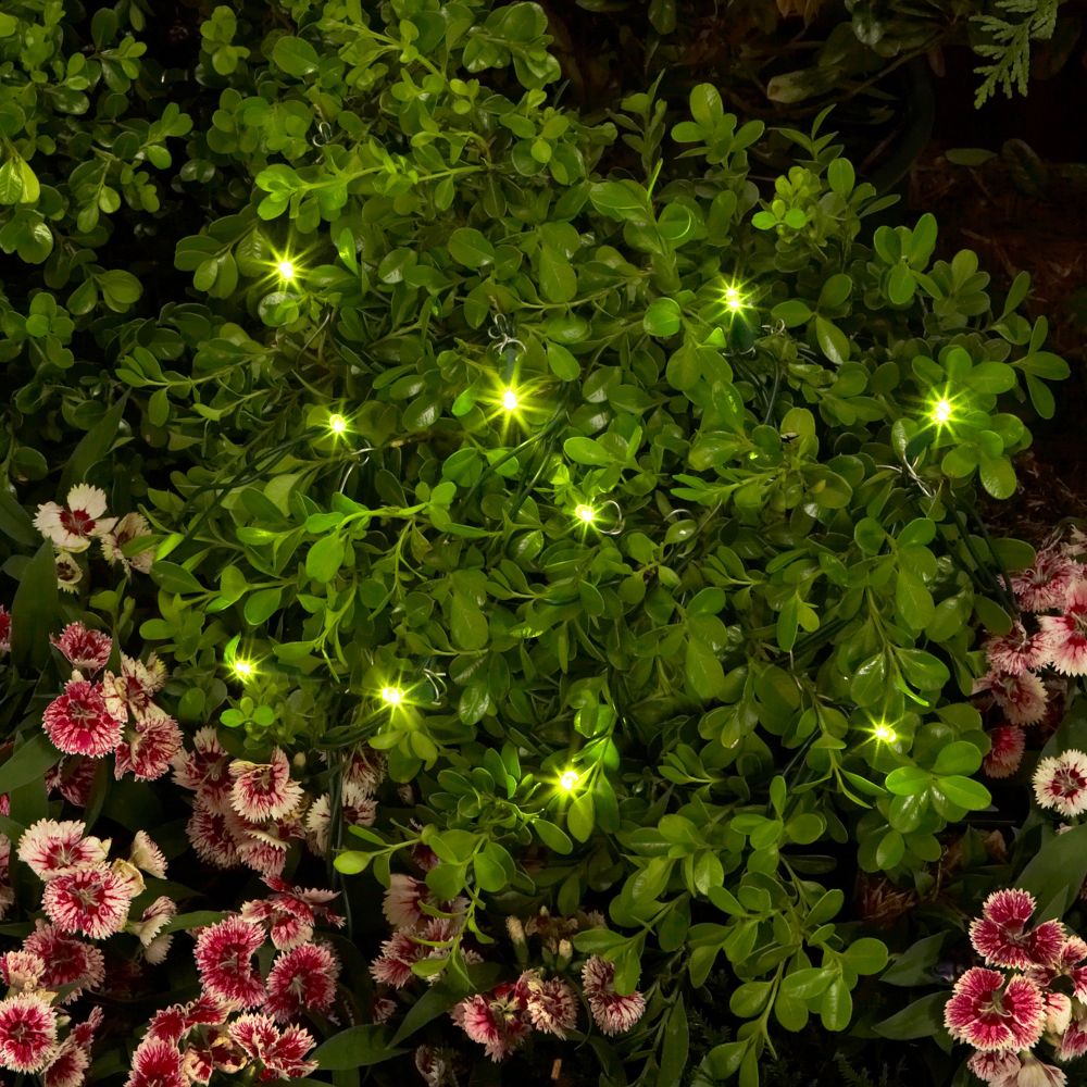 Garden Oasis Set of 10 Solar Lights in Flight Show at Kmart.com