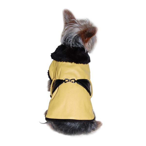 Anima Faux Leather Coat - Yellow, Extra Small B048901-XS-Yellow