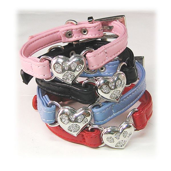 Anima 8" Paw Leather Collar BD004-8