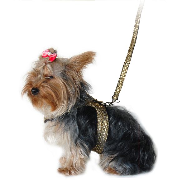 Anima Medium Sparkle Harness With Leash RC98101-M