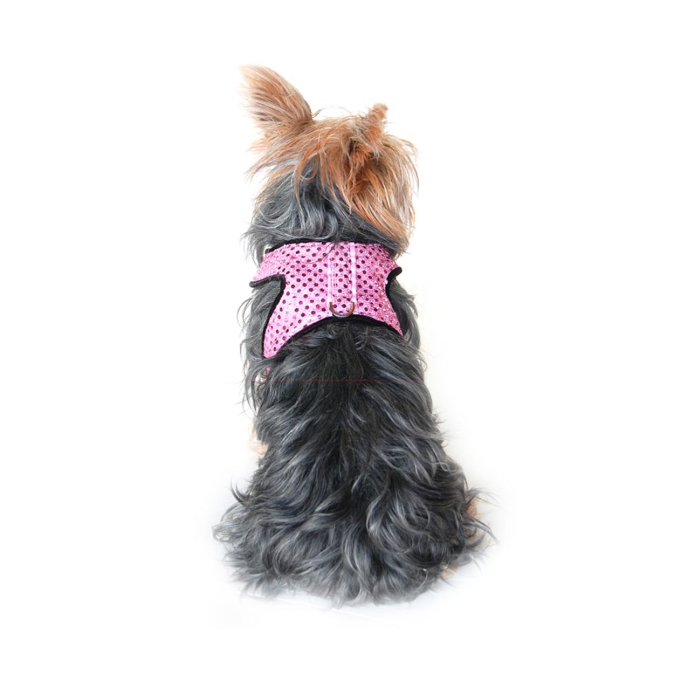Anima Extra Small Sparkle Harness with Leash at Kmart.com