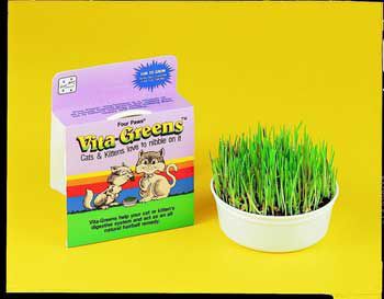 Four Paws Products Fou Treat Vita Greens 1 pk. at Kmart.com