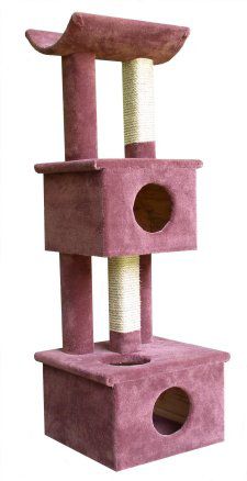 Animal Stuff THE SUGAR CAT FURNITURE
