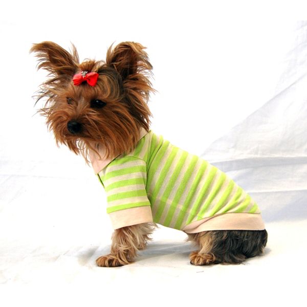 Anima Polo Shirt- Green Large AN10806-L-Green