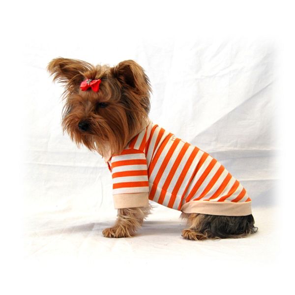 Anima Polo Shirt - Orange Large AN10806-L-Orange