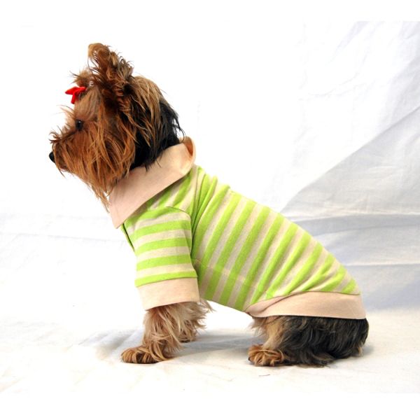 Anima Polo Shirt - Green Medium AN10806-M-Green