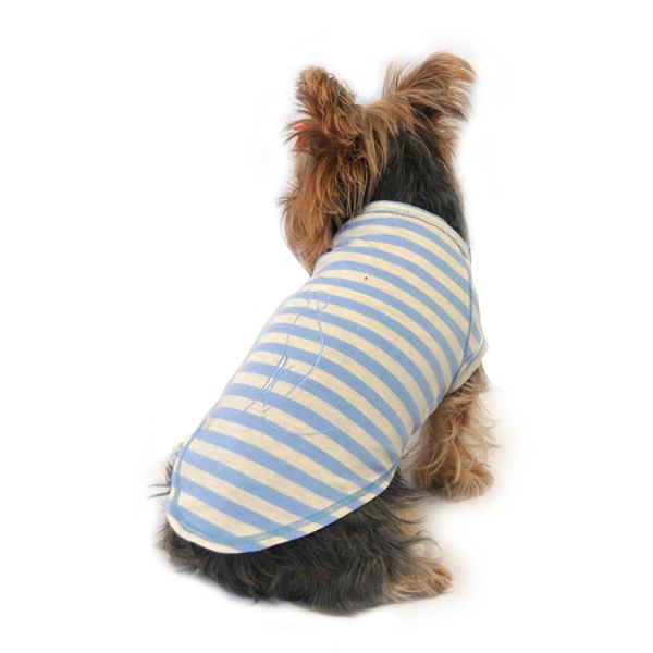 Anima Raglin Sleeve Pull-over T-shirt AN10807-S-Blue