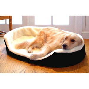 Large 36 x 24 Lounger Dog Pet Bed