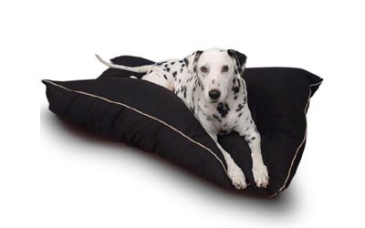 Large 35 x 46 Super Value Dog Pet Bed
