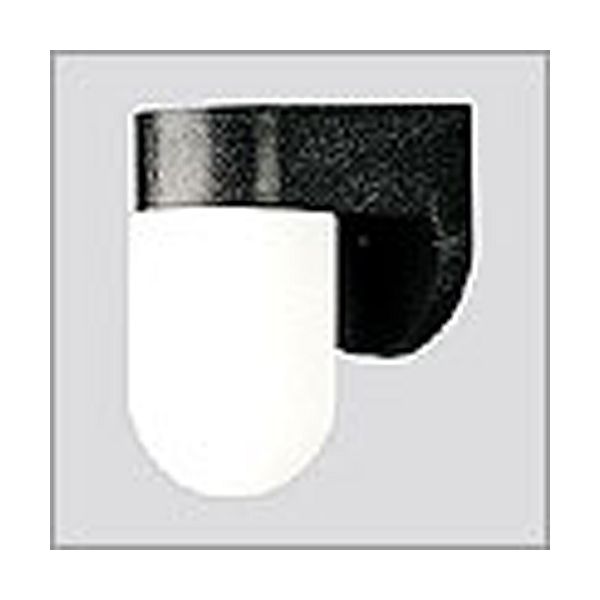 Wall Sconces Progress Small Outdoor Incandescent Outdoor Wall Lantern - Black PG3805_1097633