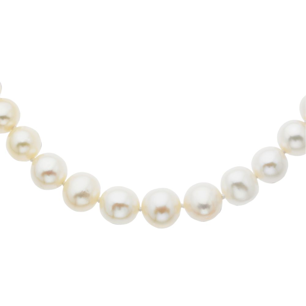  04476217000