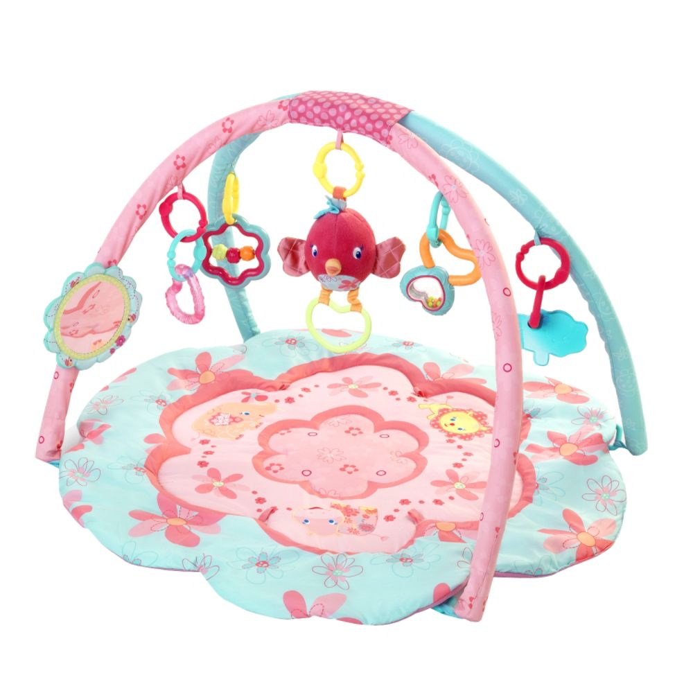 Bright Starts  Petals & Friends Activity Gym at Sears.com