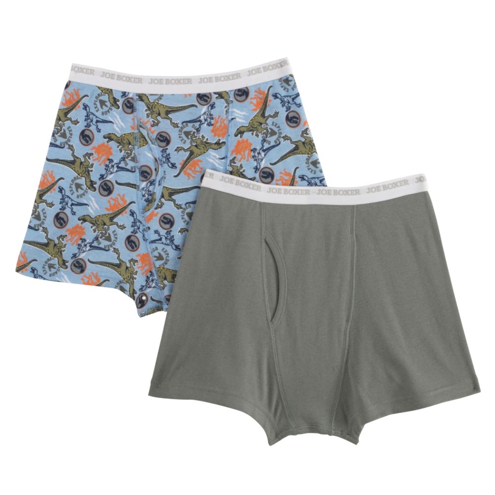 Joe Boxer Boy's 2 Pack Dinosaur Warning Boxer Briefs Prints May Vary