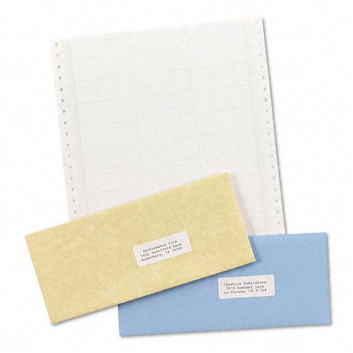  05005824000_20090308085104374_1236558341285