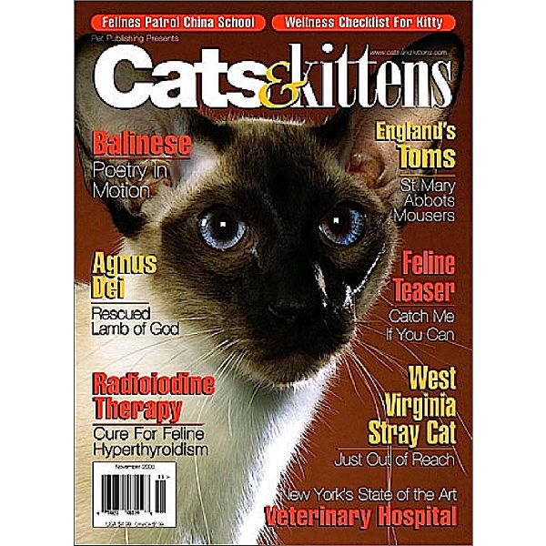 Cats and Kittens Magazine Best Price