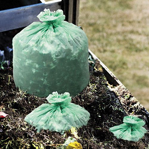 Stout EcoSafe-6400 Compostable Bags at Kmart.com