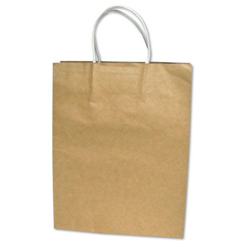Cosco Premium Shopping Bag Paper Large BN 50PK