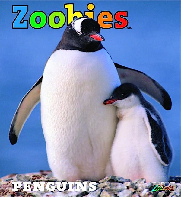 Zoobies (2 year)