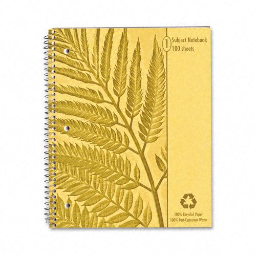 Ampad Envirotec 100percent Recycled Wirebound Notebooks
