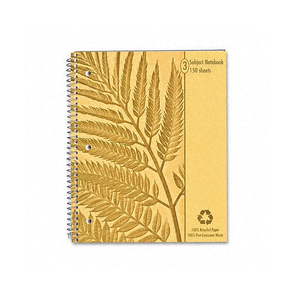 Ampad Envirotec 100percent Recycled Wirebound Notebooks AMP40104
