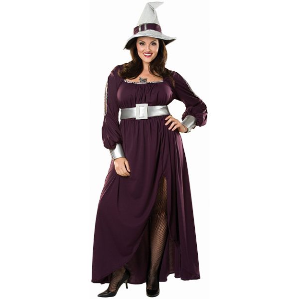 Amethyst Witch Adult (plus) Costume 180673
