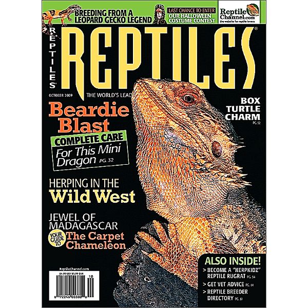 Reptiles Magazine Best Price