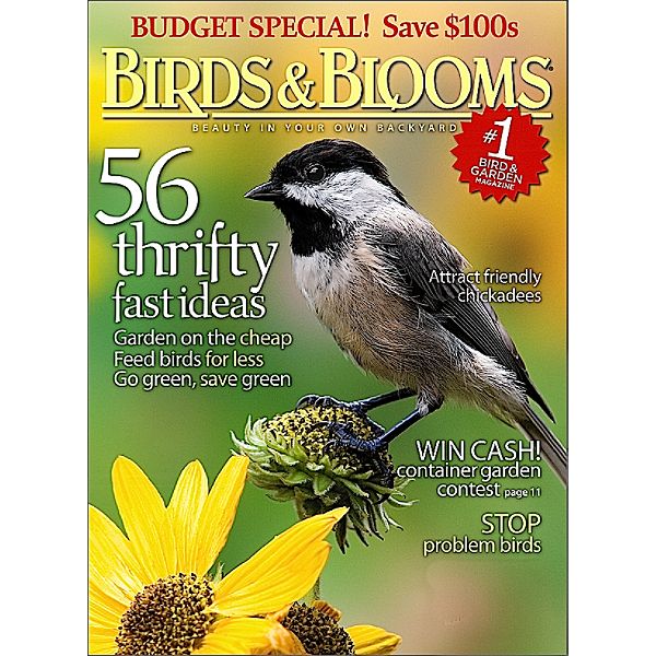Birds and Blooms Magazine Best Price