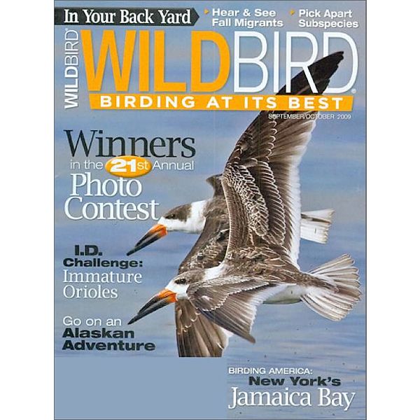 Wildbird Magazine Best Price