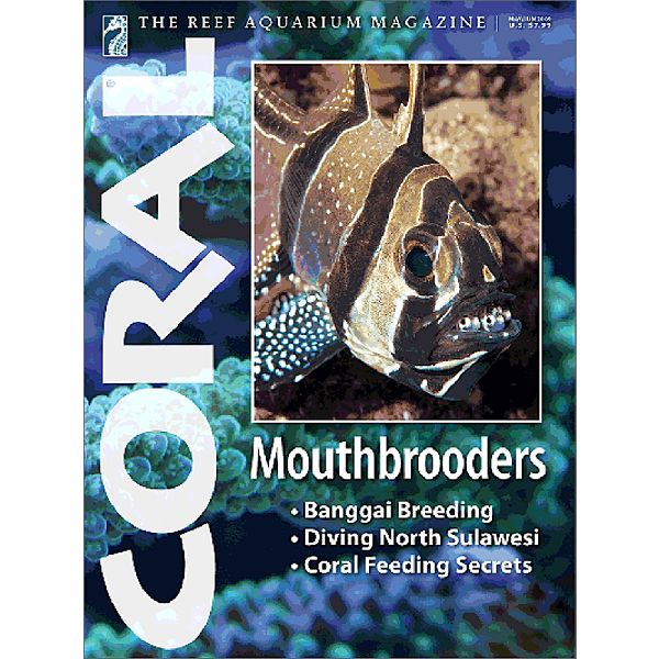 Coral Magazine Best Price