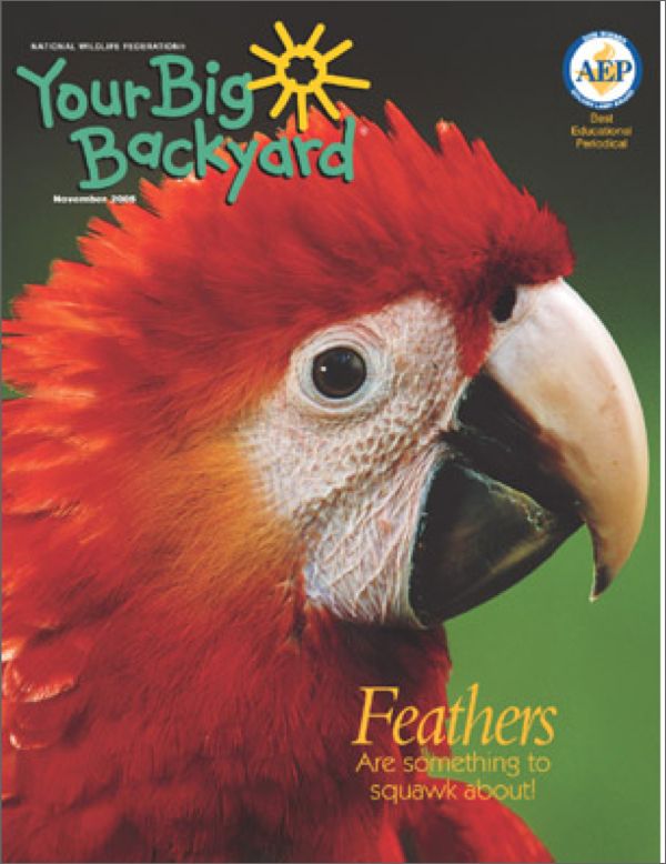 Your Big Backyard Magazine