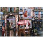 Passage Fontaine - 500 pc Jigsaw Puzzle