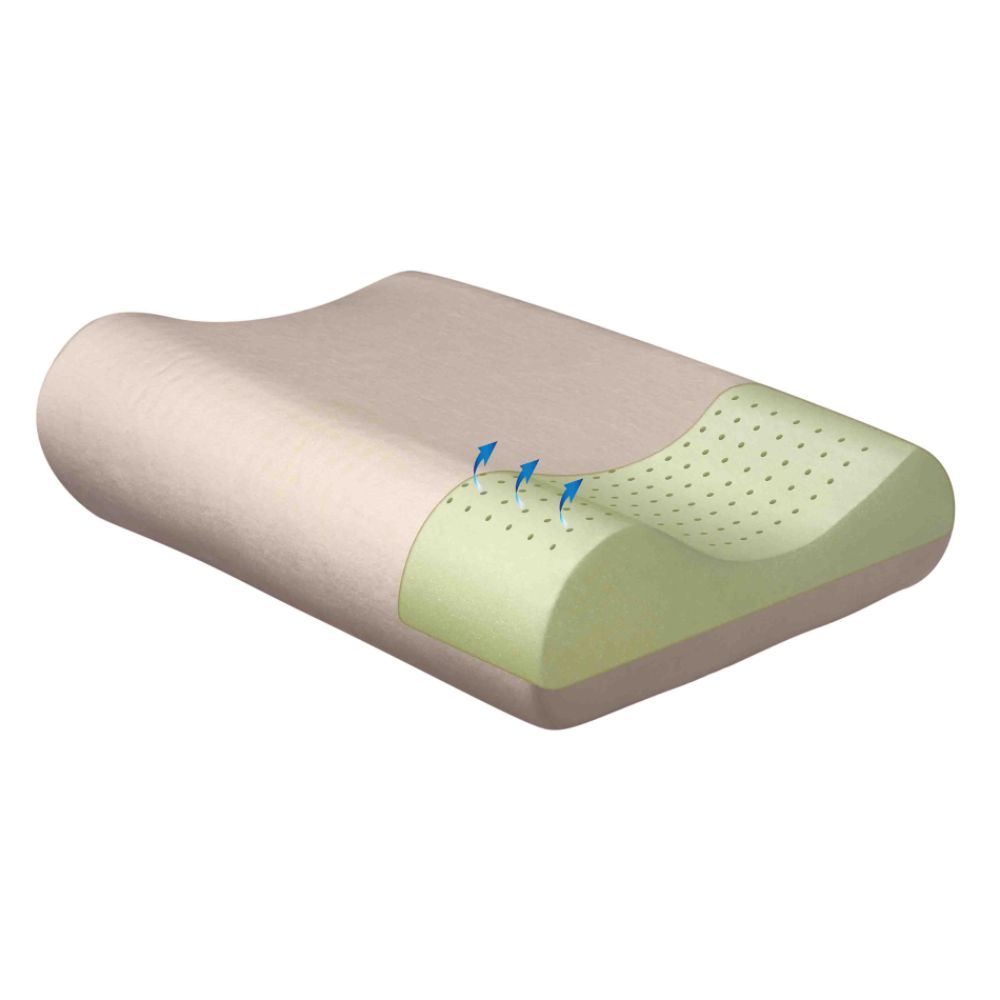 Cannon Ventilated Contour Memory Foam Pillow at Kmart.com