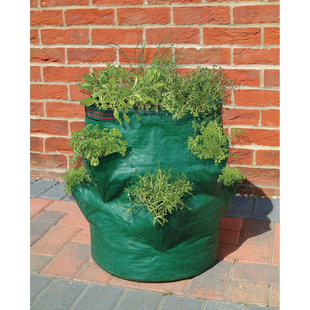 Bosmere Strawberry / Herb Planter Bag at Kmart.com
