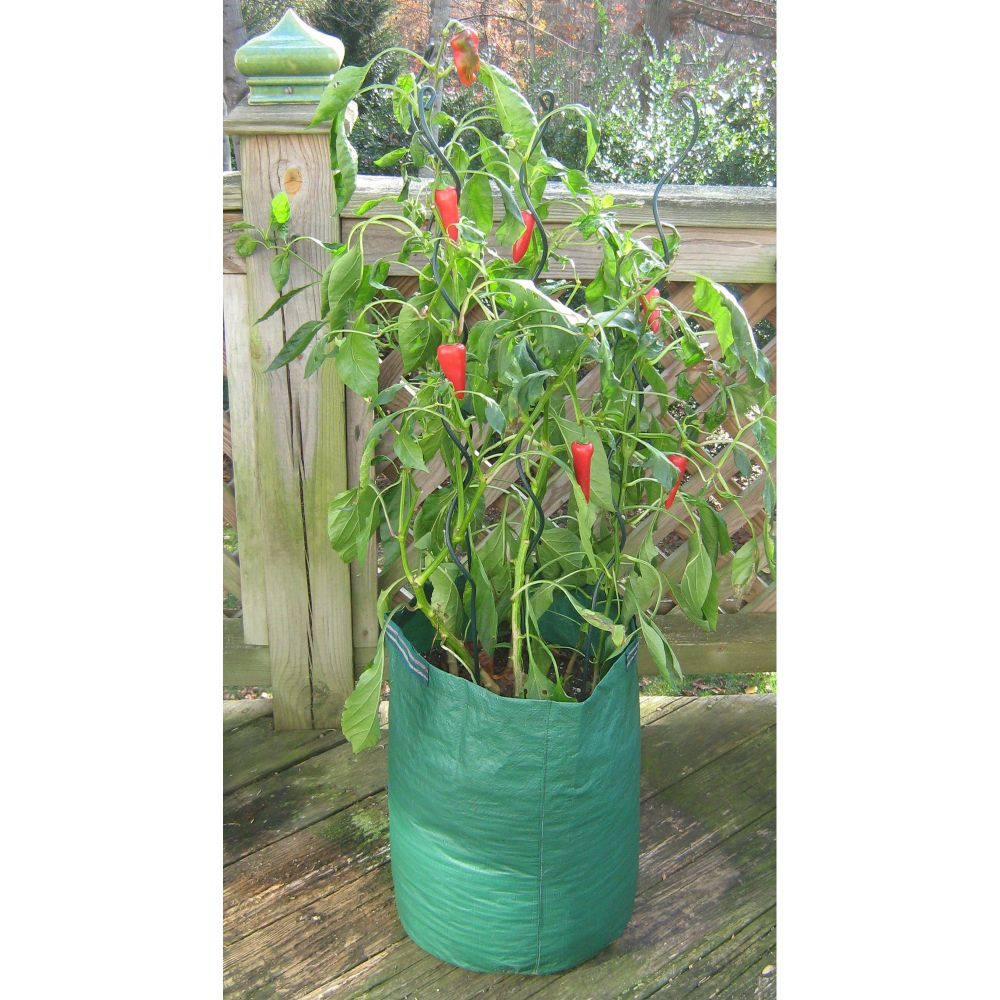 Bosmere Pepper/Eggplant Planter Bag at Kmart.com