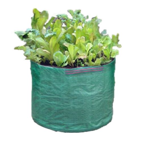 Bosmere Salad Planter Bag at Kmart.com