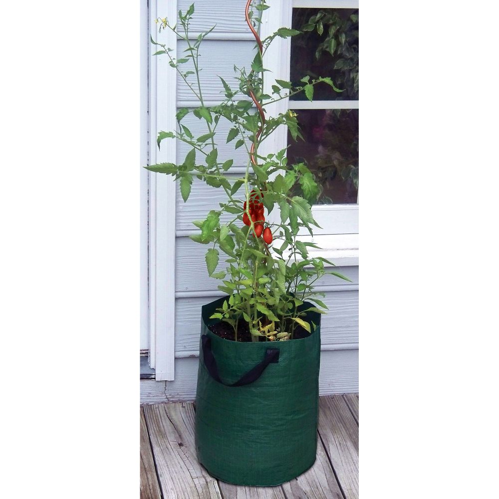 Bosmere Tomato Planter Bags (3 per pack) at Kmart.com