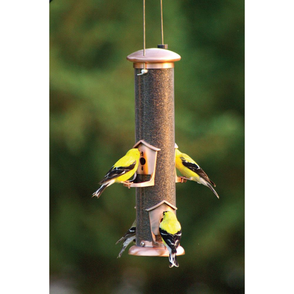 Woodlink Audubon 4 Port Brushed Copper Thistle Bird Feeder