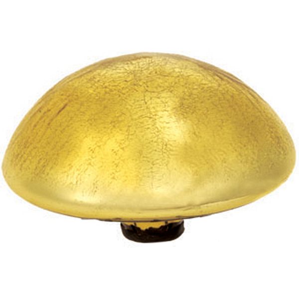 Achla Toad Stool Crackle Ivory Gold ACHTSIVC