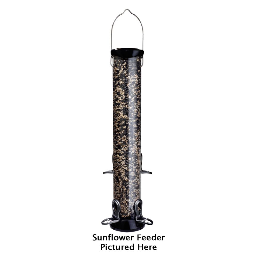 Droll Yankee Onyx Nyjer Tube Bird Feeder