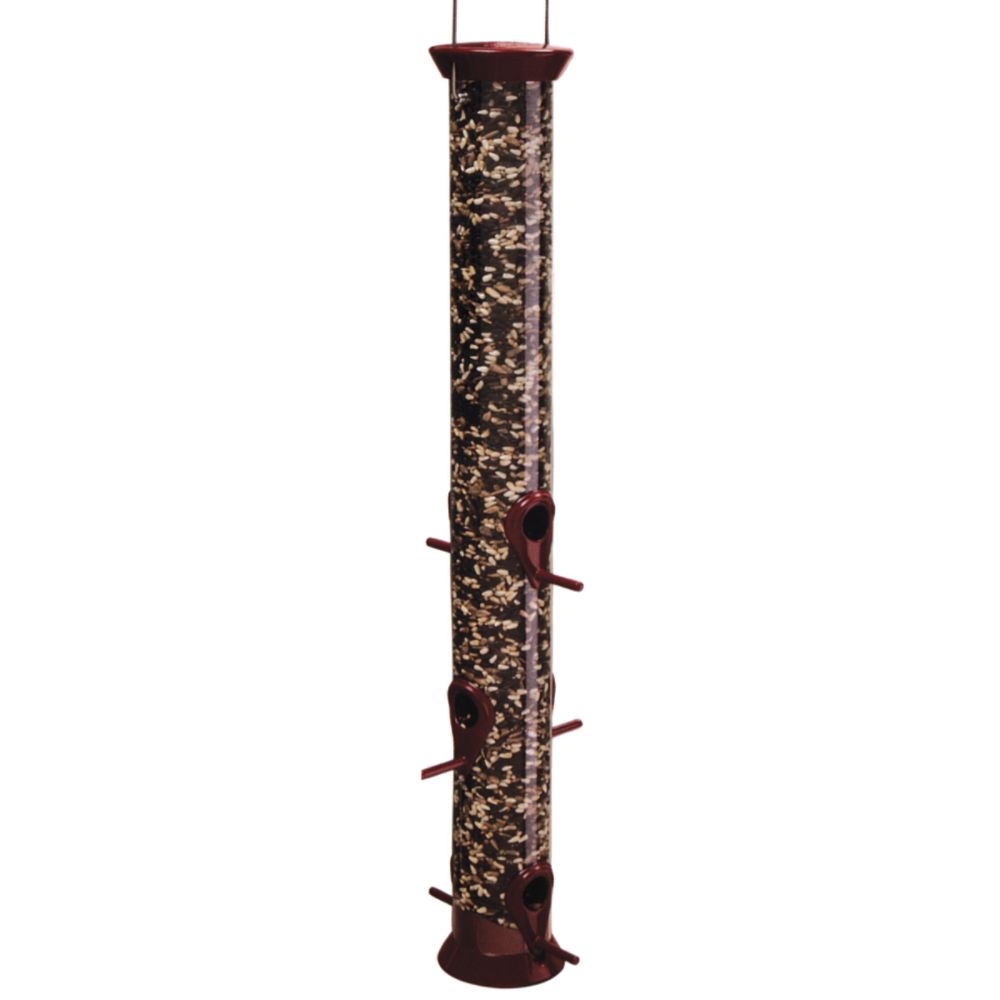 Droll Yankee Burgundy New Generation Sunflower Tube Bird Feeder
