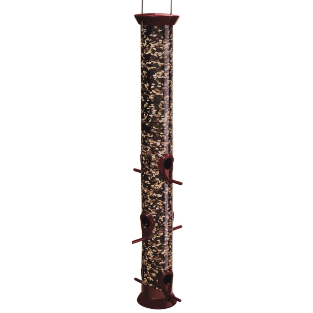 Droll Yankee Burgundy New Generation Thistle Bird Feeder